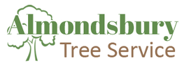 Almonsbury Tree Service - Tree Work Bristol