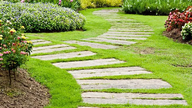 A beautifully maintained garden